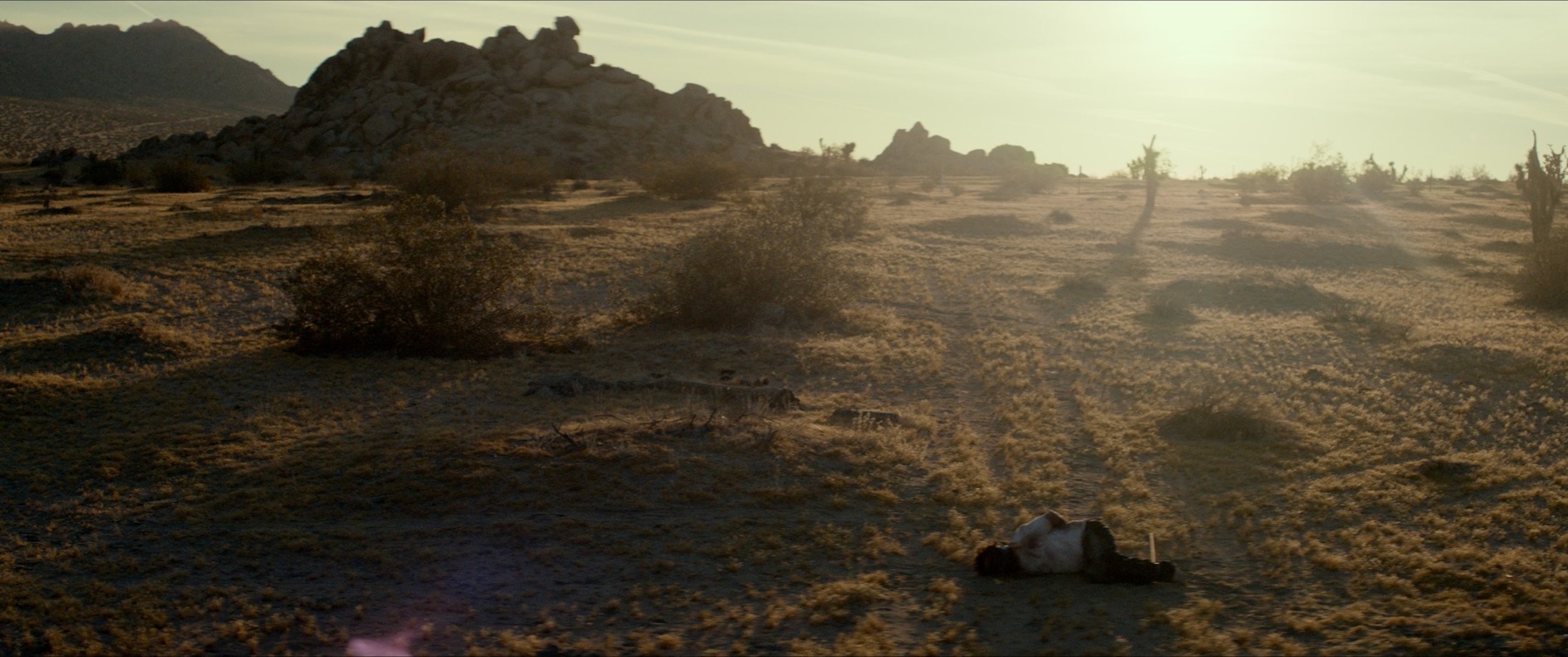 Still from Dickweed